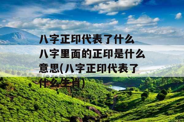 八字正印代表了什么 八字里面的正印是什么意思(八字正印代表了什么生肖)