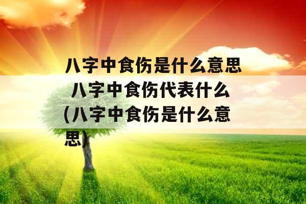 八字中食伤是什么意思 八字中食伤代表什么(八字中食伤是什么意思)