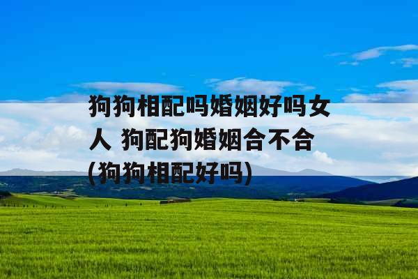 狗狗相配吗婚姻好吗女人 狗配狗婚姻合不合(狗狗相配好吗) 狗狗相配吗婚姻好吗女人 狗配狗婚姻合不合(狗狗相配好吗)