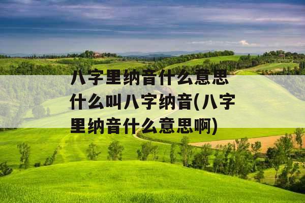 八字里纳音什么意思 什么叫八字纳音(八字里纳音什么意思啊)