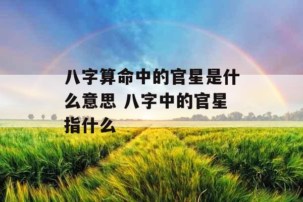 八字算命中的官星是什么意思 八字中的官星指什么