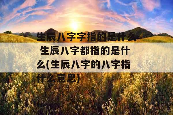 生辰八字字指的是什么 生辰八字都指的是什么(生辰八字的八字指什么意思)
