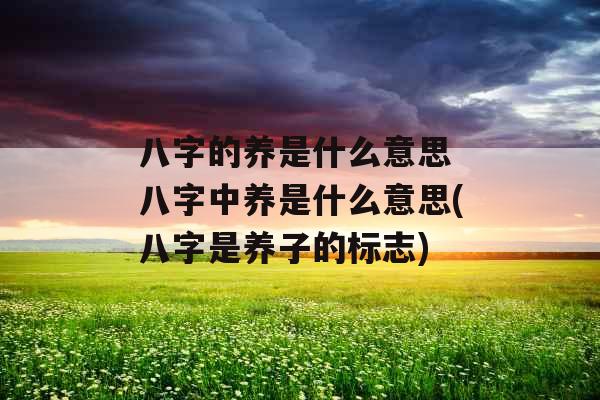 八字的养是什么意思 八字中养是什么意思(八字是养子的标志)