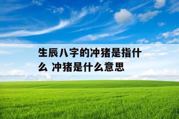 生辰八字的冲猪是指什么 冲猪是什么意思 生辰八字的冲猪是指什么 冲猪是什么意思