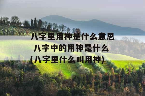 八字里用神是什么意思 八字中的用神是什么(八字里什么叫用神)