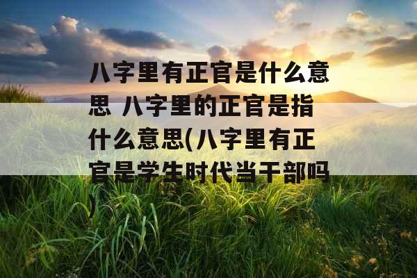 八字里有正官是什么意思 八字里的正官是指什么意思(八字里有正官是学生时代当干部吗)