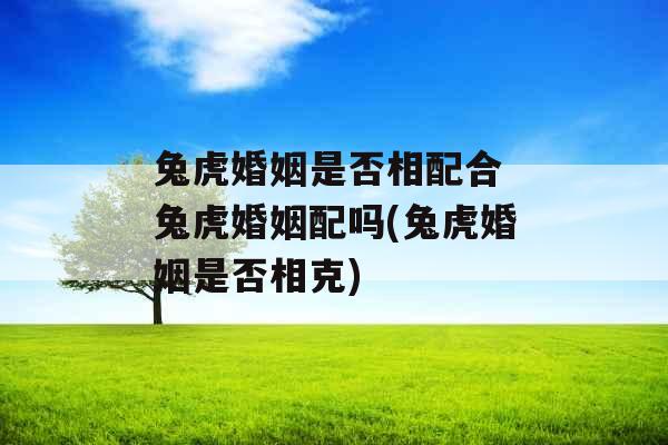 兔虎婚姻是否相配合 兔虎婚姻配吗(兔虎婚姻是否相克)