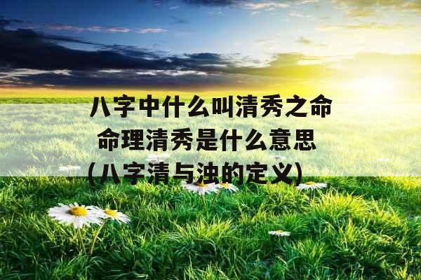 八字中什么叫清秀之命 命理清秀是什么意思(八字清与浊的定义)