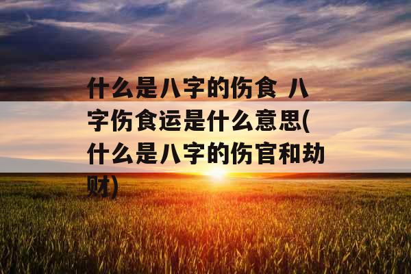 什么是八字的伤食 八字伤食运是什么意思(什么是八字的伤官和劫财)