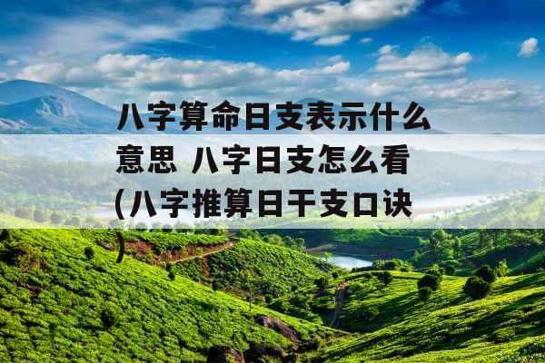八字算命日支表示什么意思 八字日支怎么看(八字推算日干支口诀)