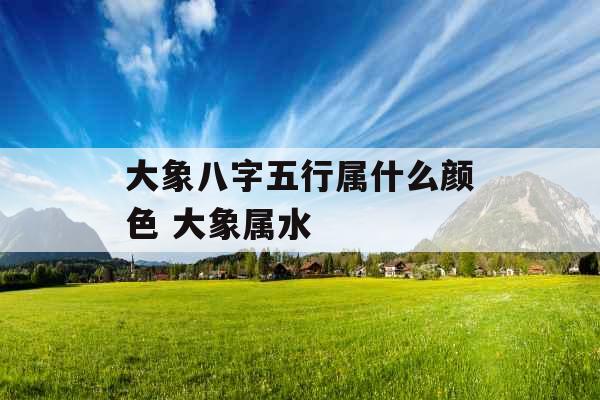 大象八字五行属什么颜色 大象属水
