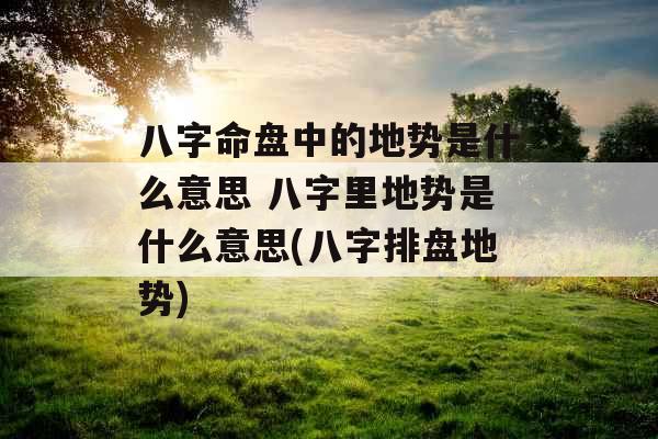八字命盘中的地势是什么意思 八字里地势是什么意思(八字排盘地势)