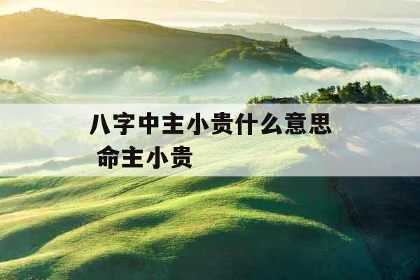 八字中主小贵什么意思 命主小贵