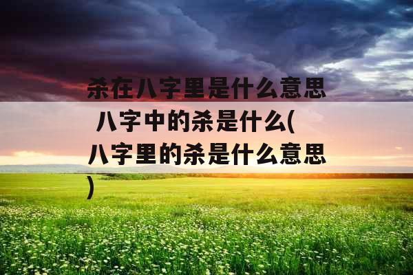杀在八字里是什么意思 八字中的杀是什么(八字里的杀是什么意思)