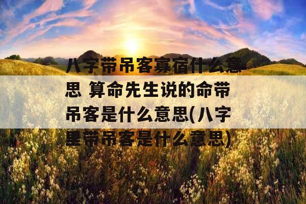 八字带吊客寡宿什么意思 算命先生说的命带吊客是什么意思(八字里带吊客是什么意思)