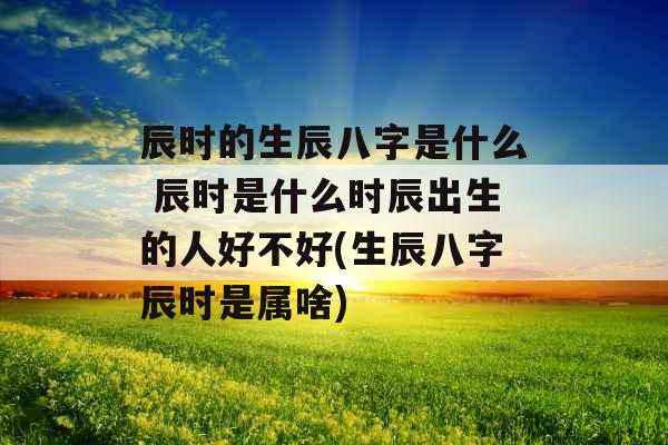 辰时的生辰八字是什么 辰时是什么时辰出生的人好不好(生辰八字辰时是属啥)