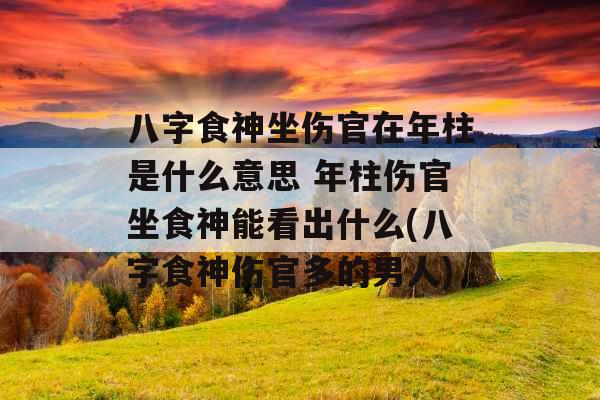 八字食神坐伤官在年柱是什么意思 年柱伤官坐食神能看出什么(八字食神伤官多的男人)