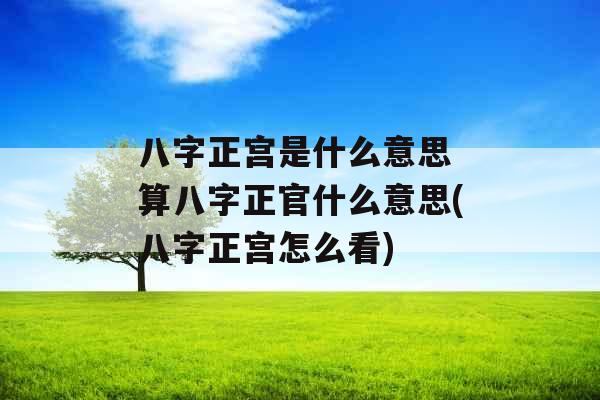 八字正宫是什么意思 算八字正官什么意思(八字正宫怎么看)