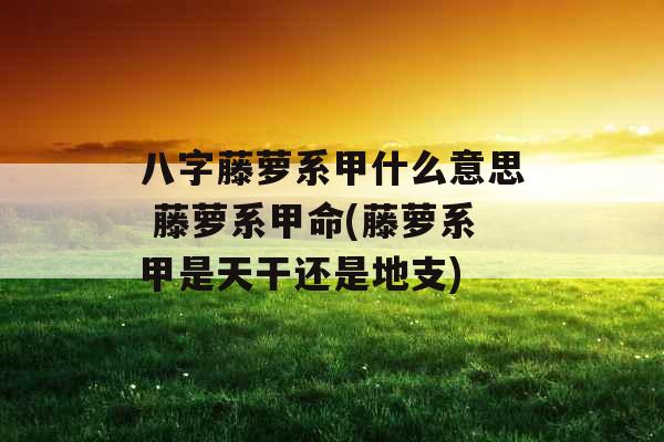 八字藤萝系甲什么意思 藤萝系甲命(藤萝系甲是天干还是地支)