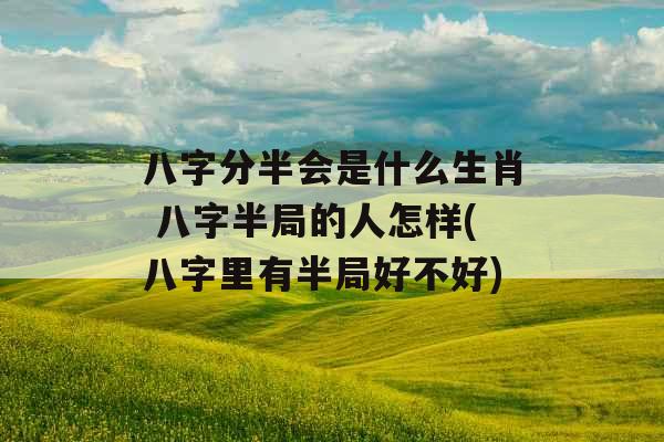 八字分半会是什么生肖 八字半局的人怎样(八字里有半局好不好)