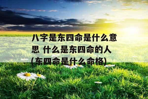 八字是东四命是什么意思 什么是东四命的人(东四命是什么命格)