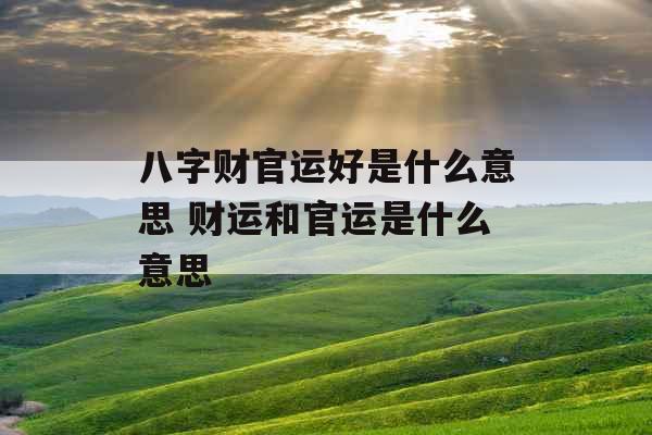 八字财官运好是什么意思 财运和官运是什么意思