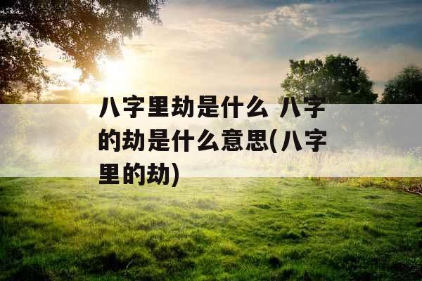 八字里劫是什么 八字的劫是什么意思(八字里的劫)