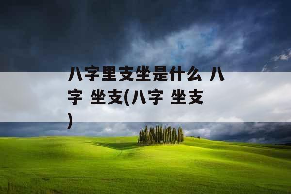 八字里支坐是什么 八字 坐支(八字 坐支)