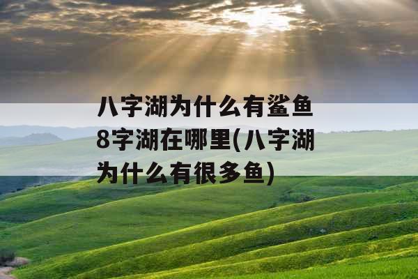 八字湖为什么有鲨鱼 8字湖在哪里(八字湖为什么有很多鱼) 八字湖为什么有鲨鱼 8字湖在哪里(八字湖为什么有很多鱼)