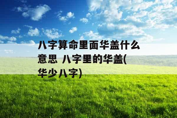 八字算命里面华盖什么意思 八字里的华盖(华少八字)