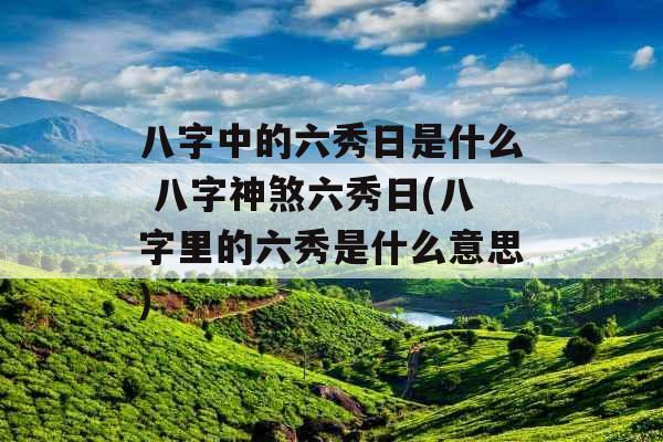八字中的六秀日是什么 八字神煞六秀日(八字里的六秀是什么意思)