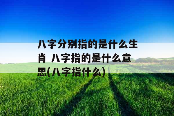 八字分别指的是什么生肖 八字指的是什么意思(八字指什么)