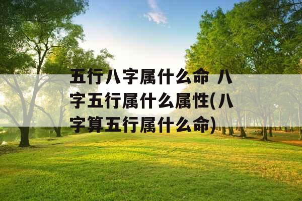 五行八字属什么命 八字五行属什么属性(八字算五行属什么命)