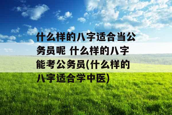 什么样的八字适合当公务员呢 什么样的八字能考公务员(什么样的八字适合学中医)