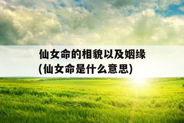 仙女命的相貌以及姻缘(仙女命是什么意思)