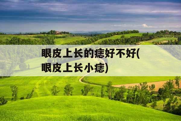 眼皮上长的痣好不好(眼皮上长小痣)