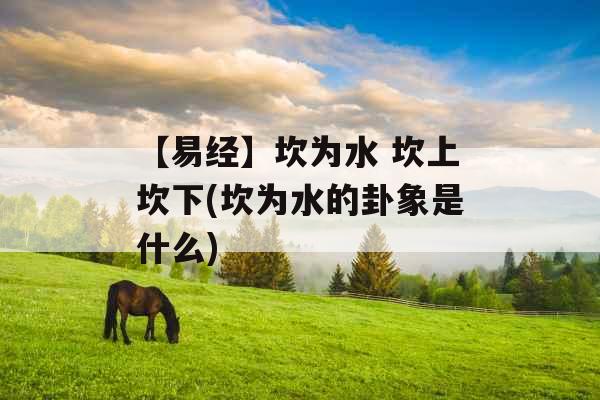 【易经】坎为水 坎上坎下(坎为水的卦象是什么)