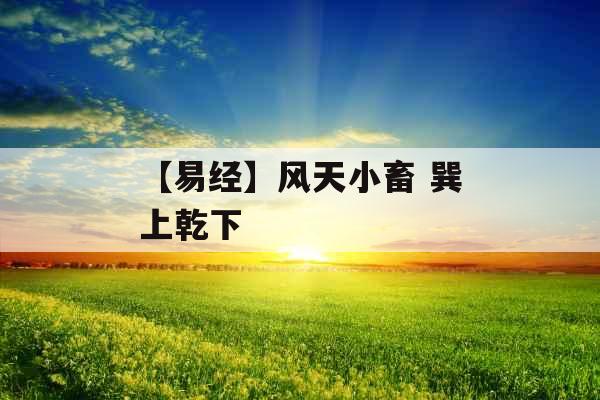 【易经】风天小畜 巽上乾下