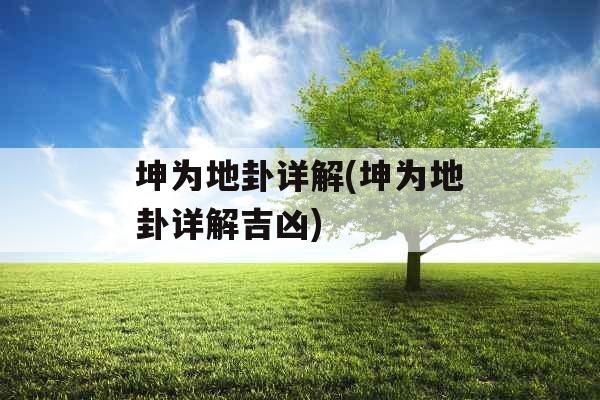 坤为地卦详解(坤为地卦详解吉凶)