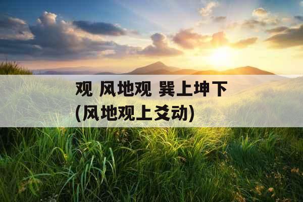 观 风地观 巽上坤下(风地观上爻动)