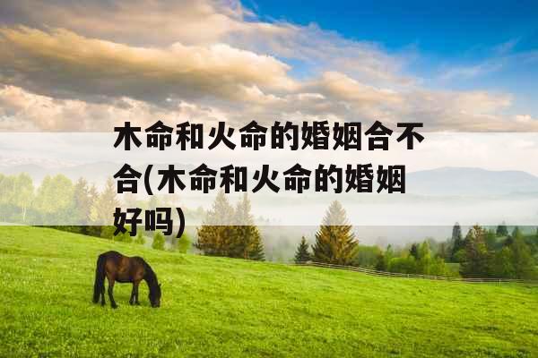 木命和火命的婚姻合不合(木命和火命的婚姻好吗)