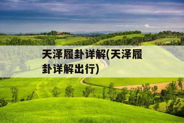 天泽履卦详解(天泽履卦详解出行)