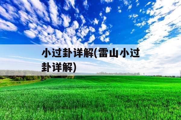 小过卦详解(雷山小过卦详解)