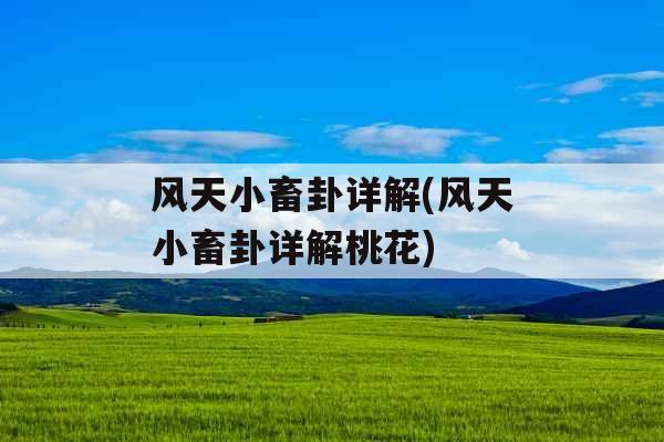 风天小畜卦详解(风天小畜卦详解桃花)