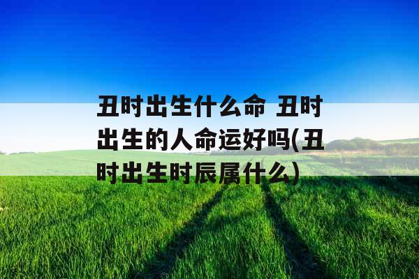 丑时出生什么命 丑时出生的人命运好吗(丑时出生时辰属什么) 丑时出生什么命 丑时出生的人命运好吗(丑时出生时辰属什么)