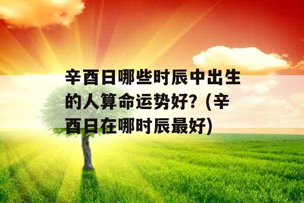 辛酉日哪些时辰中出生的人算命运势好?(辛酉日在哪时辰最好)