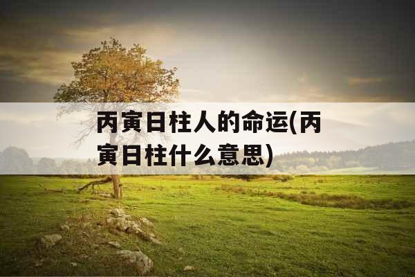 丙寅日柱人的命运(丙寅日柱什么意思)