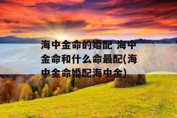 海中金命的婚配 海中金命和什么命最配(海中金命婚配海中金)
