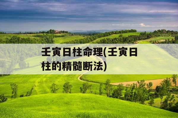 壬寅日柱命理(壬寅日柱的精髓断法)