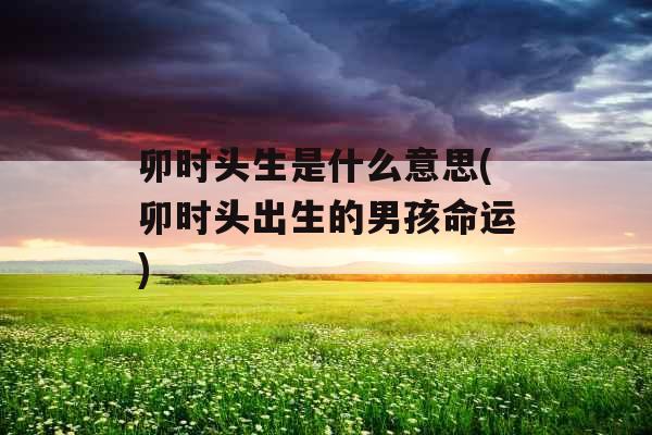 卯时头生是什么意思(卯时头出生的男孩命运)
